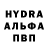 Конопля индика UsurperKingZant