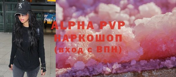 стафф Арсеньев