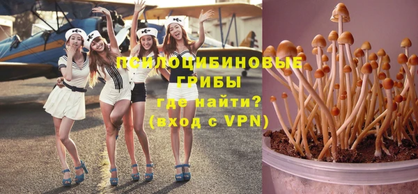 стафф Арсеньев