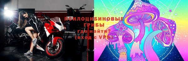 стафф Арсеньев