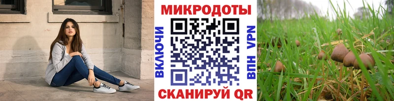 цена   Бирск  блэк спрут зеркало  Галлюциногенные грибы мухоморы 